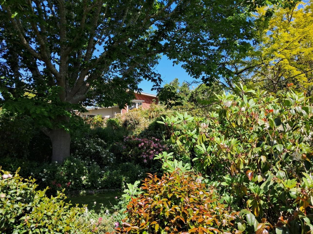 Bed and Breakfast Niloc Waimate Exteriér fotografie